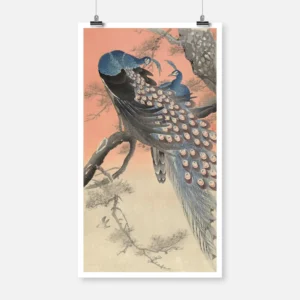 Two Peacocks on Tree Branch Poster