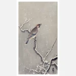 Waxwing on Snowy Branch Poster