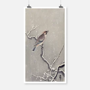 Waxwing on Snowy Branch Poster