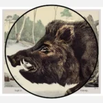 Wild Boar Poster