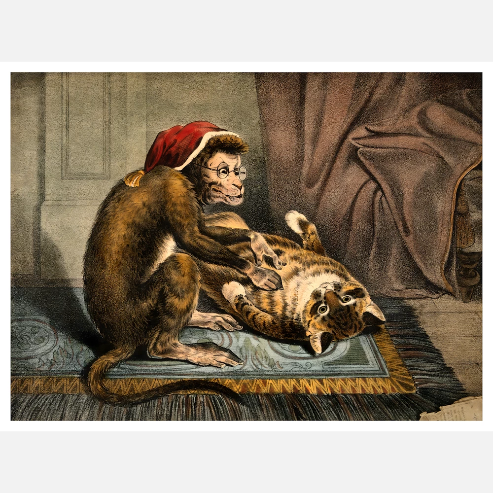 A Monkey Physician Examining a Cat Patient Poster