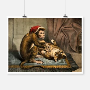 A Monkey Physician Examining a Cat Patient Poster