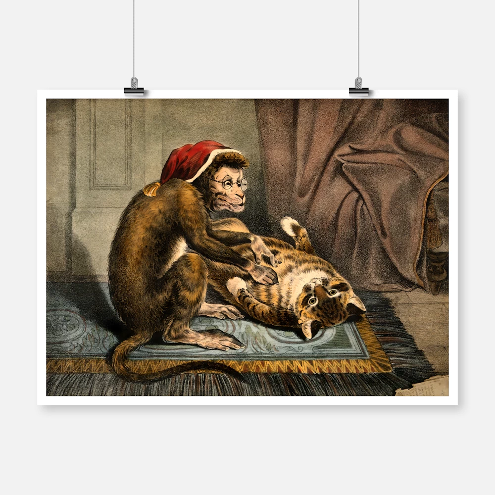 A Monkey Physician Examining a Cat Patient Poster