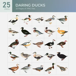 Daring Ducks Collection