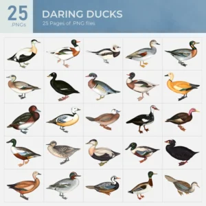 Daring Ducks Collection