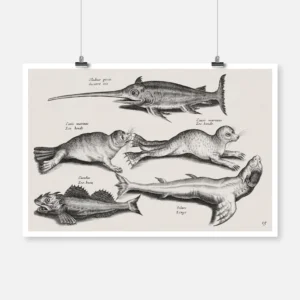 Five Sea Creatures Poster