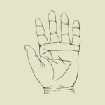 Hand Vector