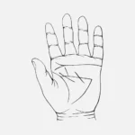 Hand Vector