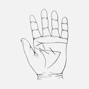 Hand Vector