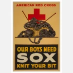 Our Boys Need Sox Poster