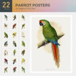 Parrot Posters Collection