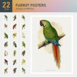 Parrot Posters Collection