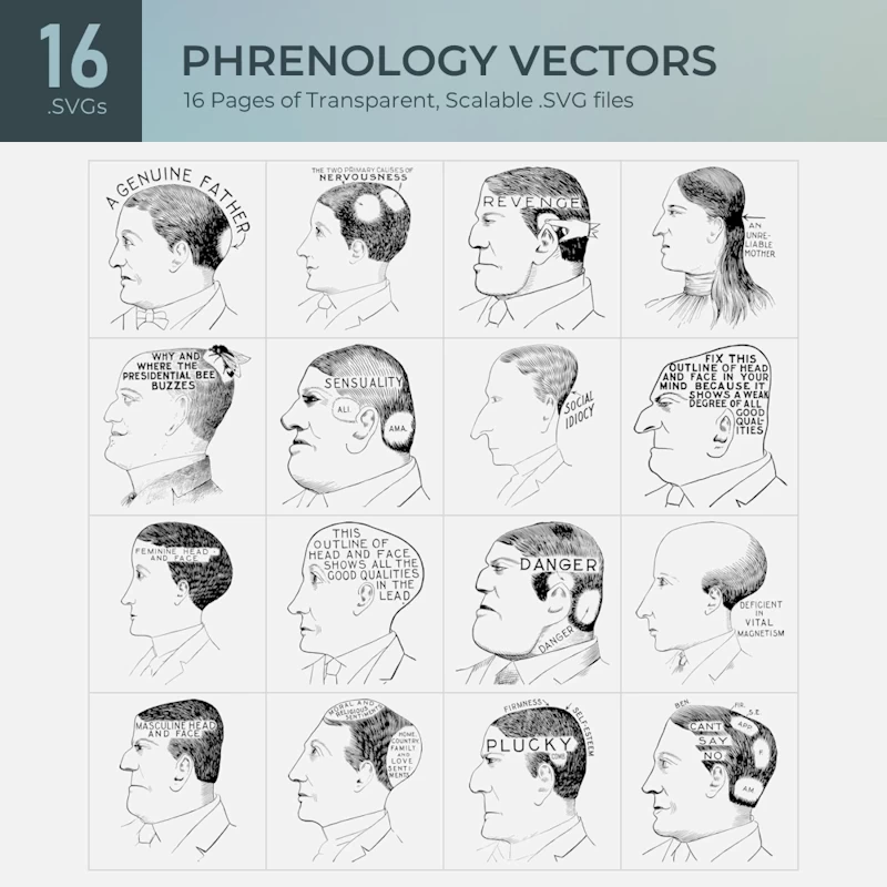 Phrenology Vectors Collection