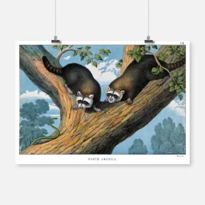 Two Raccoons and a Snake Poster