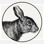 A Rabbit Etching Poster