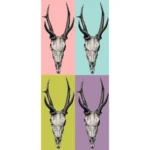 A Stag's Skull