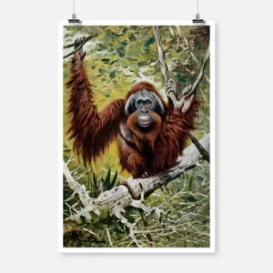 An Orangutan Sitting on a Branch Poster