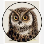 An Owl Sitting on the Stump of a Tree Poster