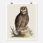 An Owl Sitting on the Stump of a Tree Poster
