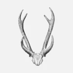 Deer Skull Drawing Vector