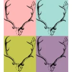 Deer Skull with Horns Antlers Vector