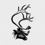 Deer with Antlers Side View Vector