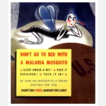 Don't Go To Bed with a Malaria Mosquito Poster