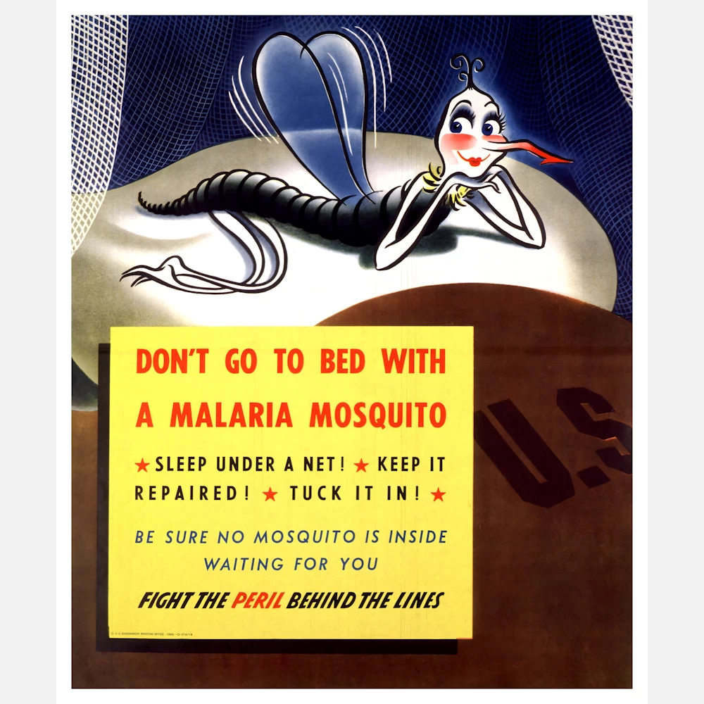 Don't Go To Bed with a Malaria Mosquito Poster