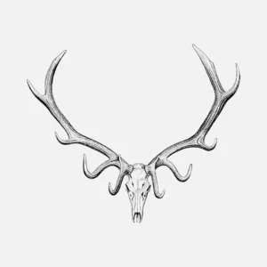 Elk Skull Drawing Vector