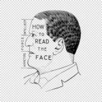 How to Read the Face Vector