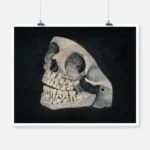Jaw and Part of Skull of an Animal Poster