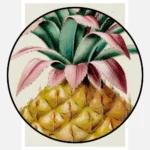 Pineapple Plant Poster