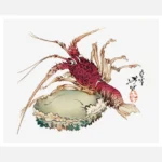 Lobster and Abalone Poster