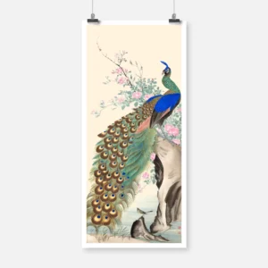 Peacock and Flowers Poster