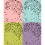 Phrenological Regions Vector