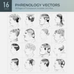 Phrenology Vector Collection