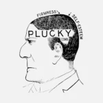 Pluck is a Fact Vector