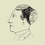 Sentiment Phrenological Vector