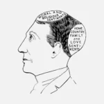 Sentiment Phrenological Vector