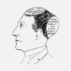 Sentiment Phrenological Vector