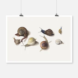 Seven Snails Poster