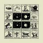 Signs of the Zodiac Co-ordinated Vector
