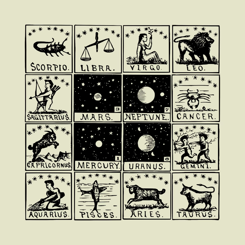 Signs of the Zodiac Co-ordinated Vector