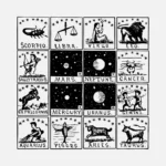 Signs of the Zodiac Co-ordinated Vector