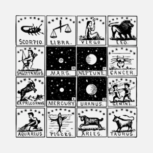 Signs of the Zodiac Co-ordinated Vector