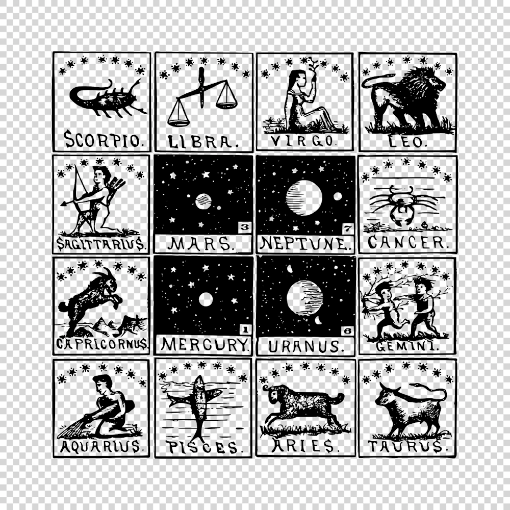 Signs of the Zodiac Co-ordinated Vector