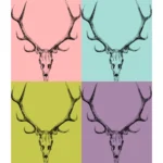 Stag Skull Drawing Vector