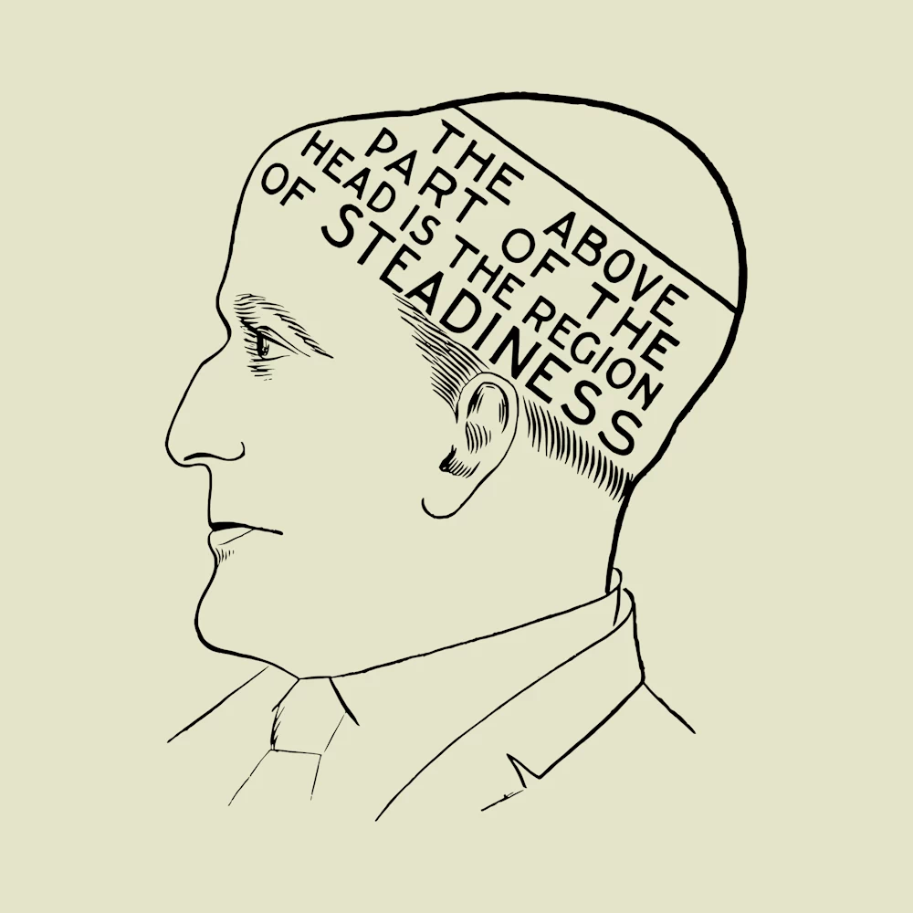The Above Part of the Head is the Region of Steadiness Vector