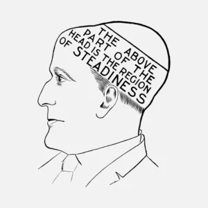 The Above Part of the Head is the Region of Steadiness Vector
