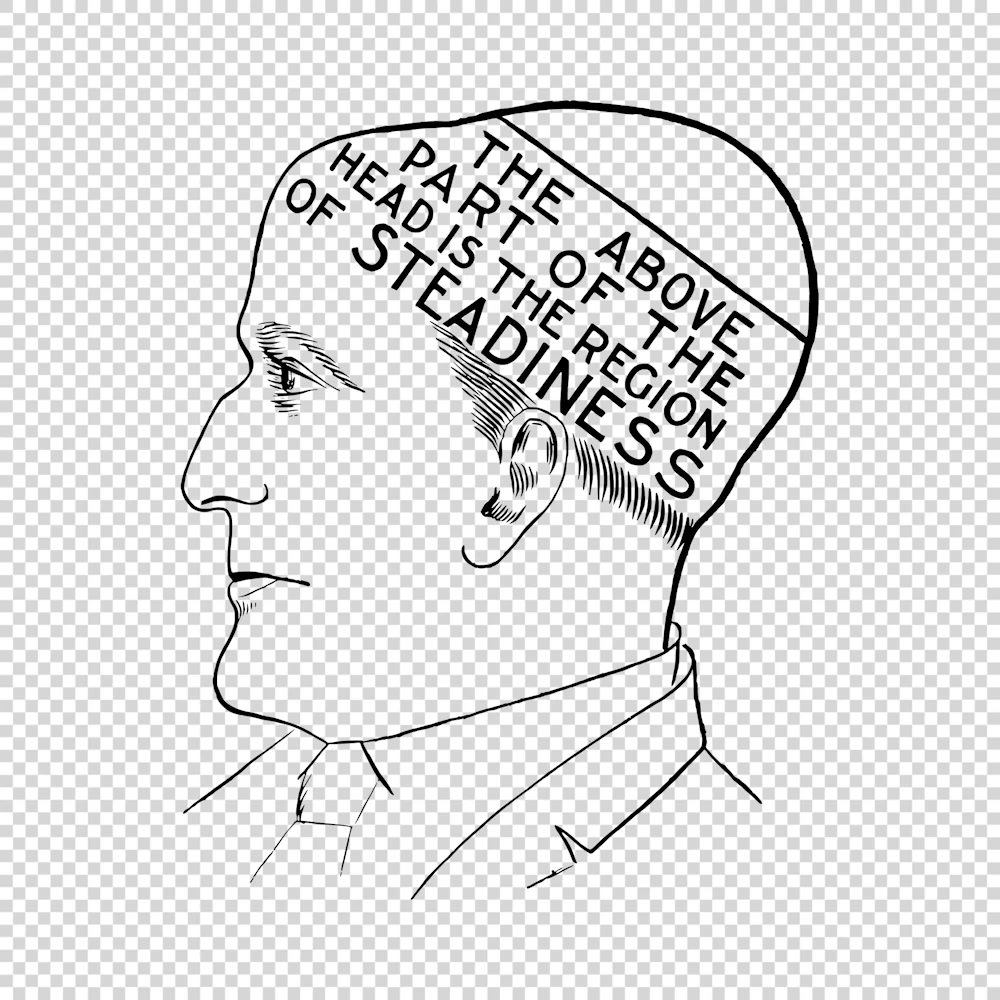The Above Part of the Head is the Region of Steadiness Vector